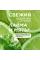 Мыло-пенка для рук и тела «Мятный лайм», 500 мл